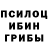 Псилоцибиновые грибы Psilocybine cubensis Vinfire