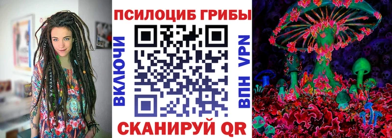 Галлюциногенные грибы MAGIC MUSHROOMS  дарк нет телеграм  кракен ONION  Шуя  что такое  