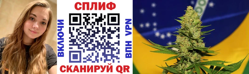 Конопля индика  Шуя 